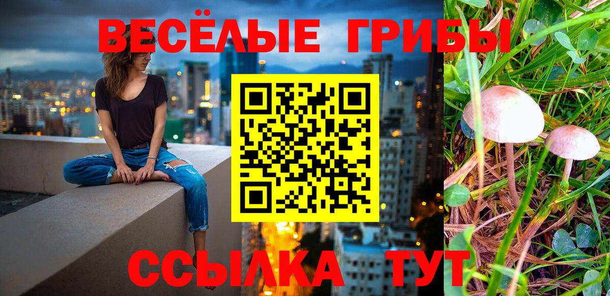 Галлюциногенные грибы ЛСД Электрогорск