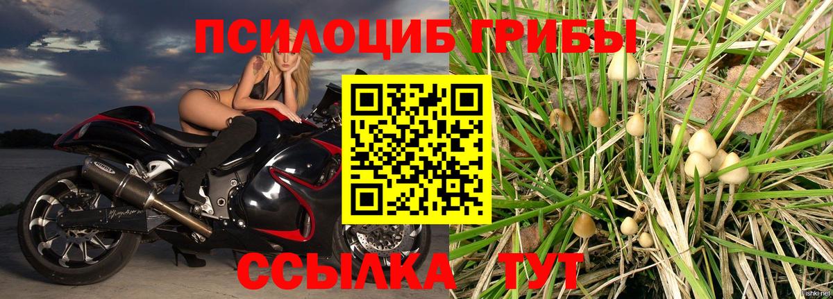 Псилоцибиновые грибы ЛСД  Вход с VPN  Электрогорск 